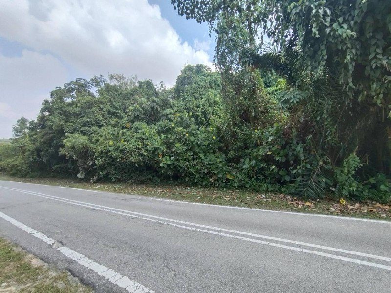 Tanah Untuk Pembangunan Perumahan Salak Tinggi Sepang Selangor 2.87 Ekar Freehold