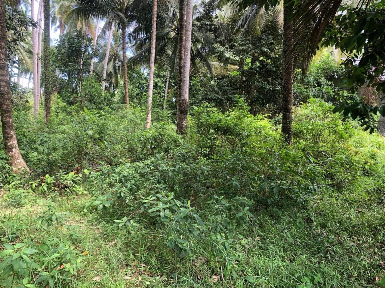 Tanah Lot Bangunan Sabak Pengkalan Chepa Kota Bharu 6490 Sqft Freehold Depan Sekolah