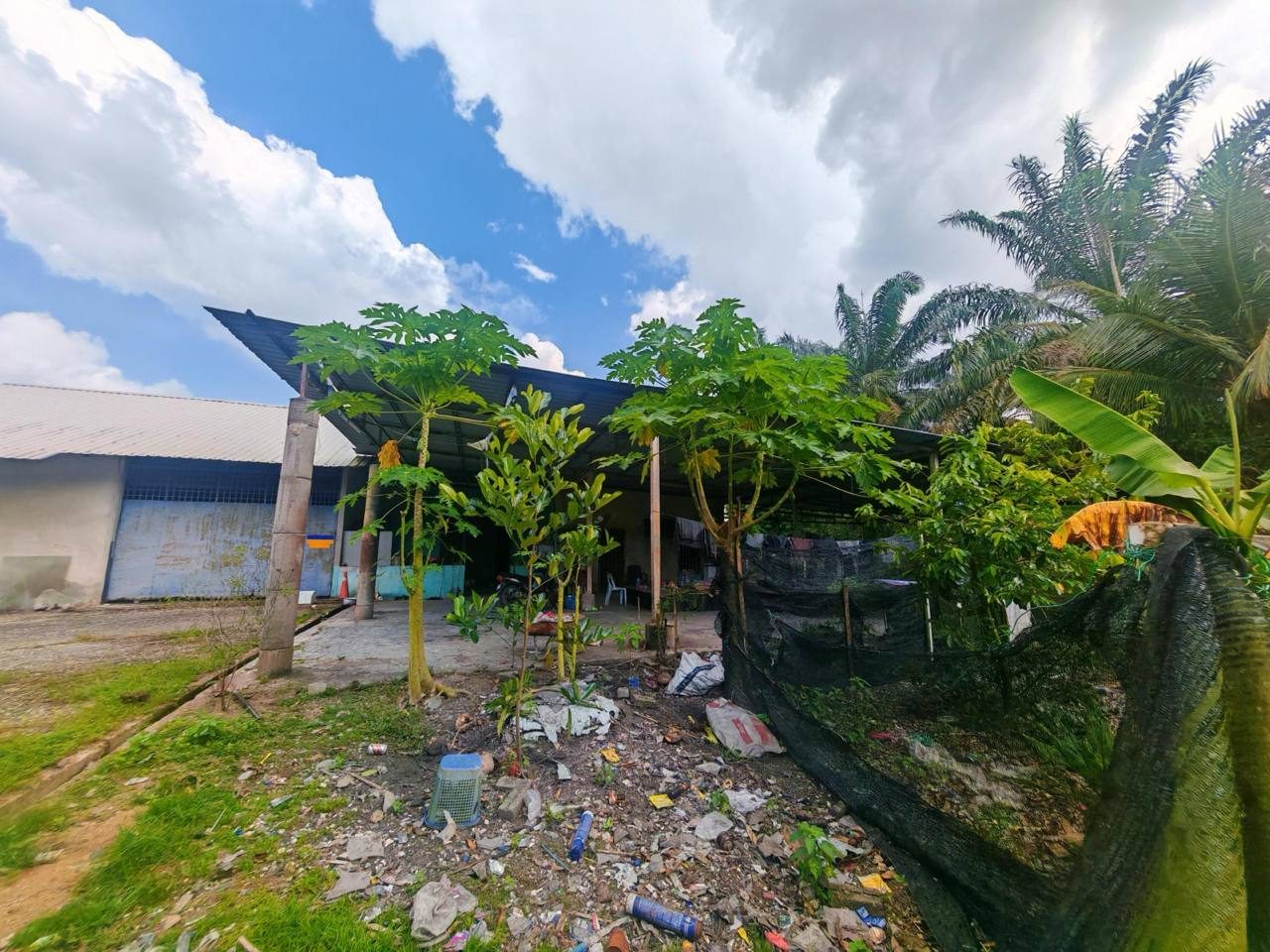 Tanah Kediaman Kampung Kayu Ara Pasong Pontian Johor 69696 Sqft Freehold Luas