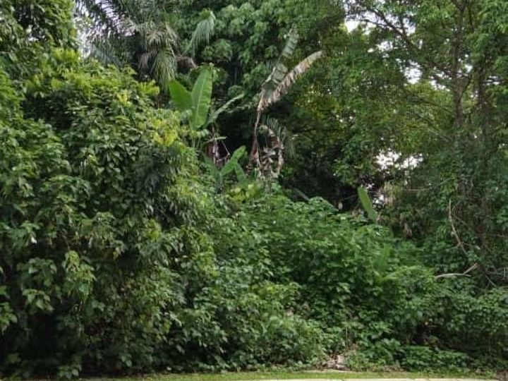 š„ Tanah Untuk Dijual | Taman Tiara Titiwangsa, Setapak š„