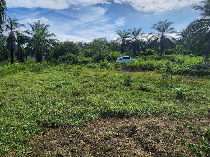 Tanah Bangunan 5900 sqft Melaka Pindah Kampung Tersusun