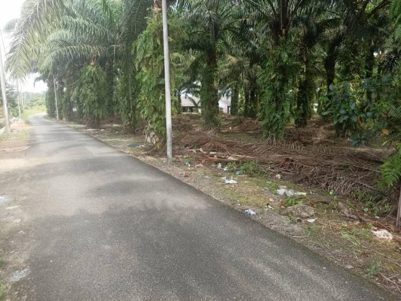 Tanah Kebun Sawit Kg Ulu Pulai Gelang Patah 4.9 Ekar Freehold Berhampiran Ulu Choh