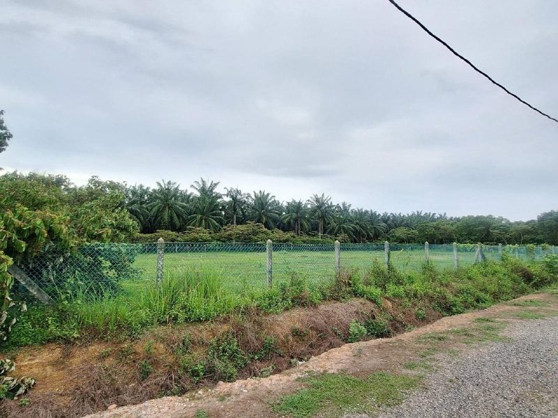 Tanah Pertanian 1.21 Ekar Nusa Dusun Orchard Resort Kuala Linggi Melaka Berpagar