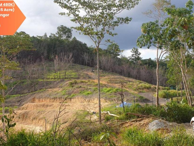 Tanah Pertanian 5.35 Ekar Kalumpang Hulu Selangor