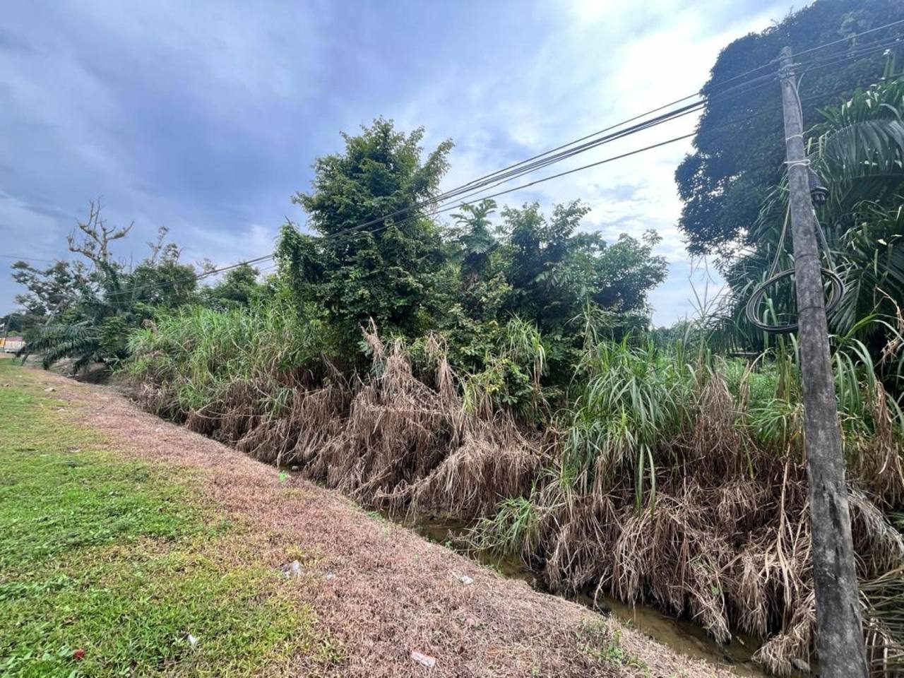 Tanah Pertanian 2.16 Ekar Kesang Laut Tangkak