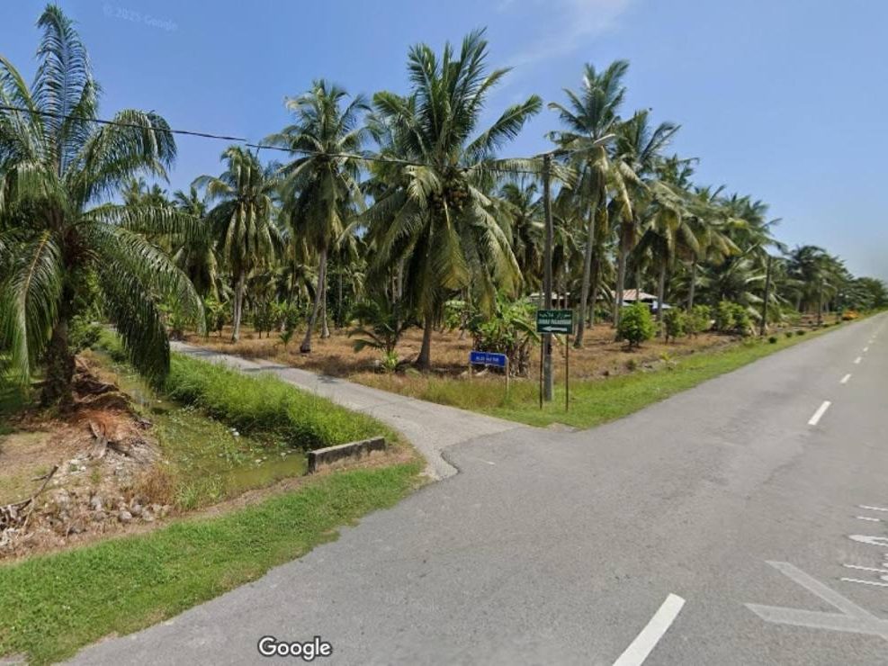 Tanah Pertanian 1 Ekar Sabak Bernam Selangor Freehold Tanaman Sawit