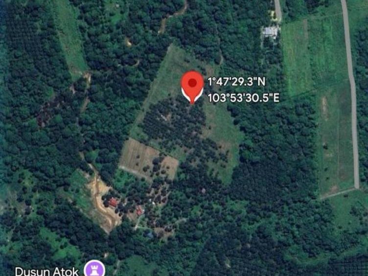 Tanah Pertanian 10 Ekar Kg. Sepak Kota Tinggi