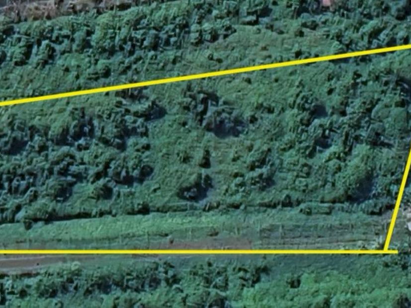 Tanah Pertanian 1.25 Ekar Balik Pulau Pulau Pinang Freehold