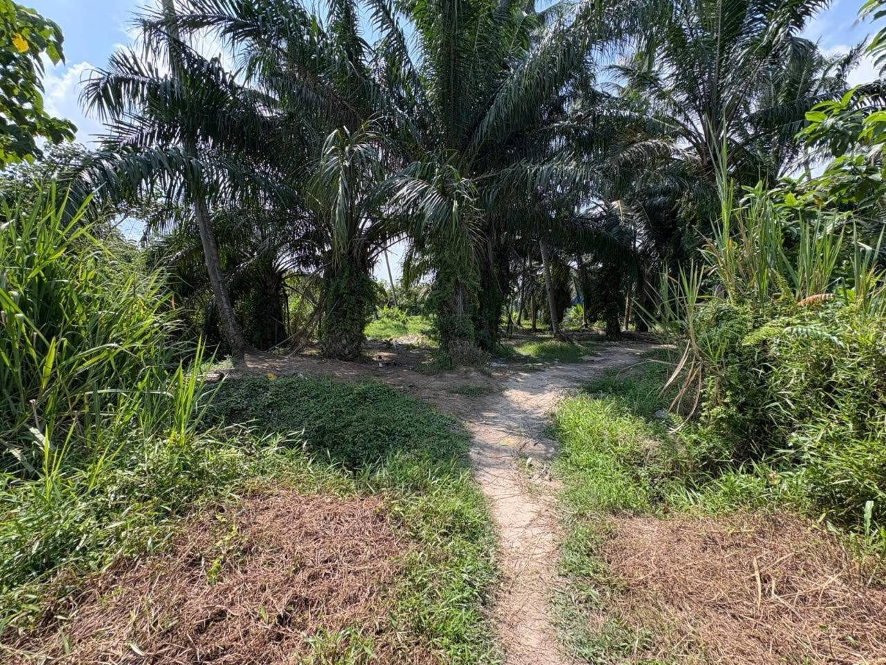 Tanah 3.67 Ekar ā Telok Gong, Port Klang