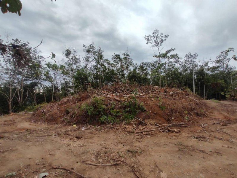Tanah 1 Ekar Chopin Kanan Parit Perak Freehold 42360 Sqft