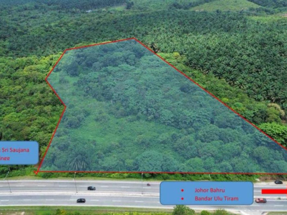 Tanah Pertanian 8.62 Ekar Kota Tinggi ā Freehold Johor