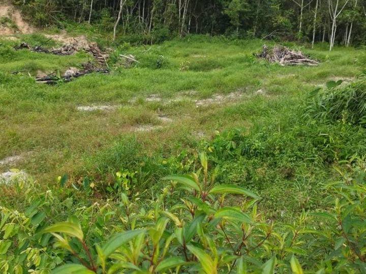Tanah Sungai Tekali Hulu Langat Selangor 5.8 Ekar