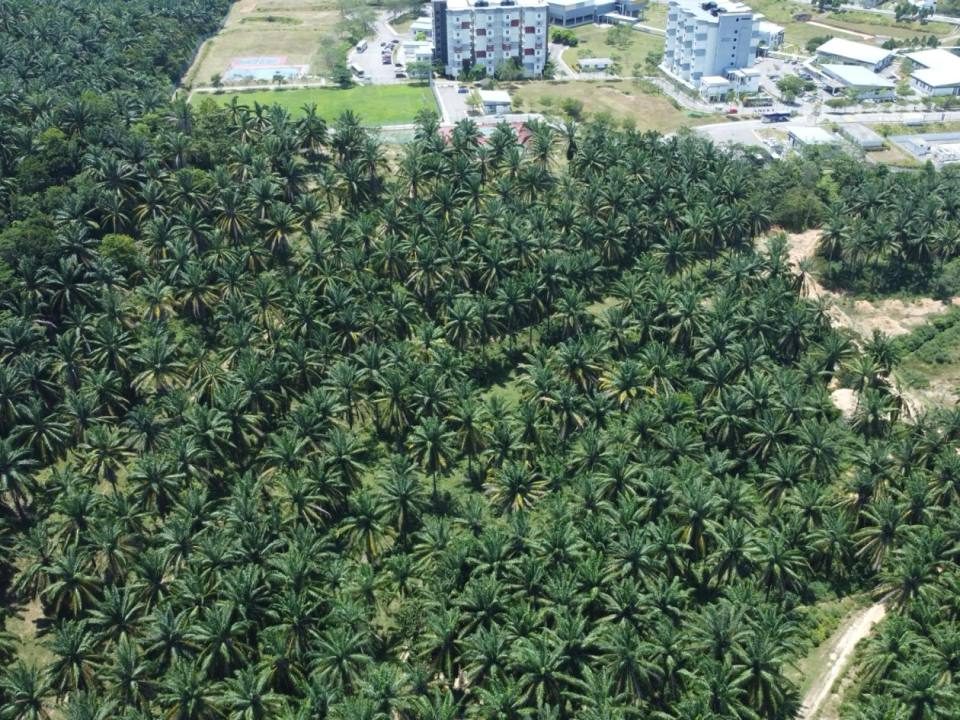 Tanah Rembau Negeri Sembilan 3 Ekar Freehold Sebelah UiTM Pilin