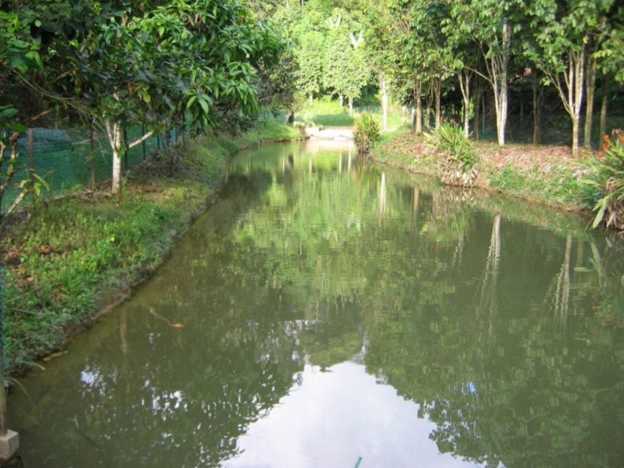 π³ Tanah Kebun 8.66 Ekar Freehold Kampung Janda Baik Bentong Pahang