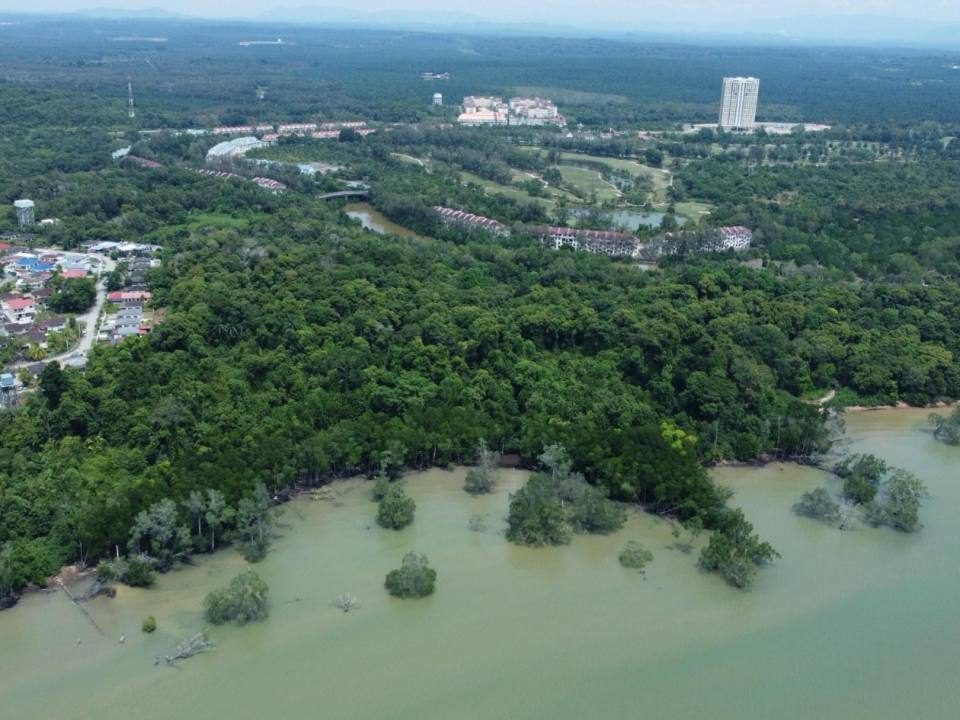 Tanah Pertanian Port Dickson Negeri Sembilan 5 Ekar Freehold Pemandangan Laut