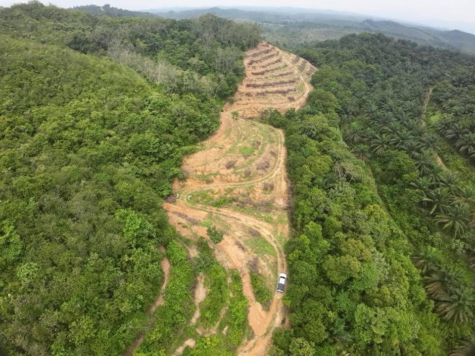 Tanah Pertanian 4.29 Ekar Ulu Brisu Alor G4jah Melaka