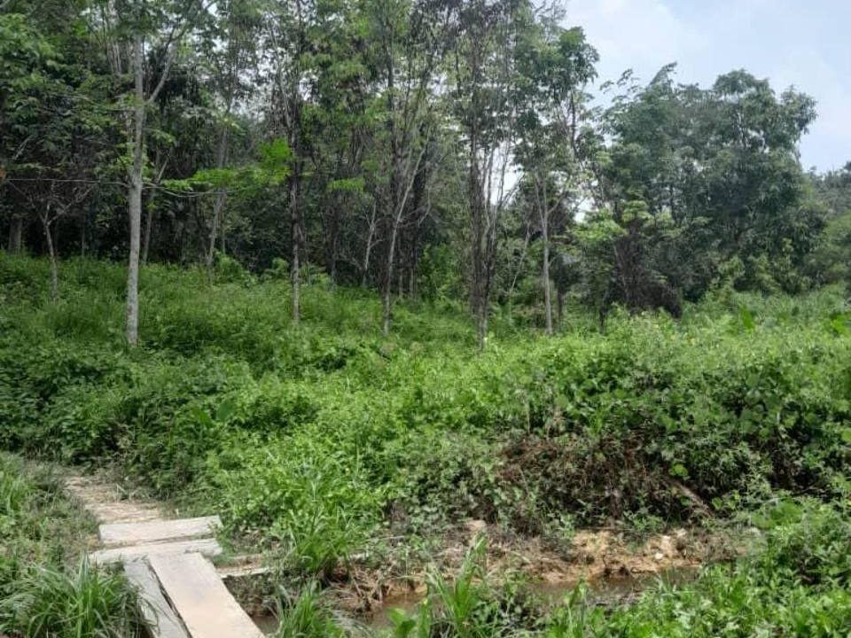 Tanah Pertanian 1.85 Ekar Juasseh Kuala Pilah Negeri Sembilan Freehold