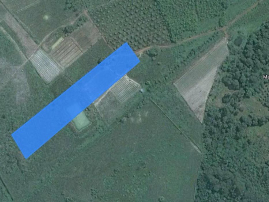 Tanah Pertanian 2.81 Ekar Kampung Tangkong Buloh Kasap Segamat Johor