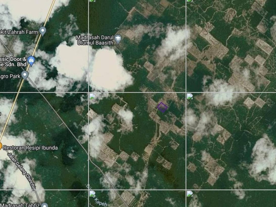 Tanah Pertanian 1.98 Ekar Jabi Buloh Kasap Segamat Johor