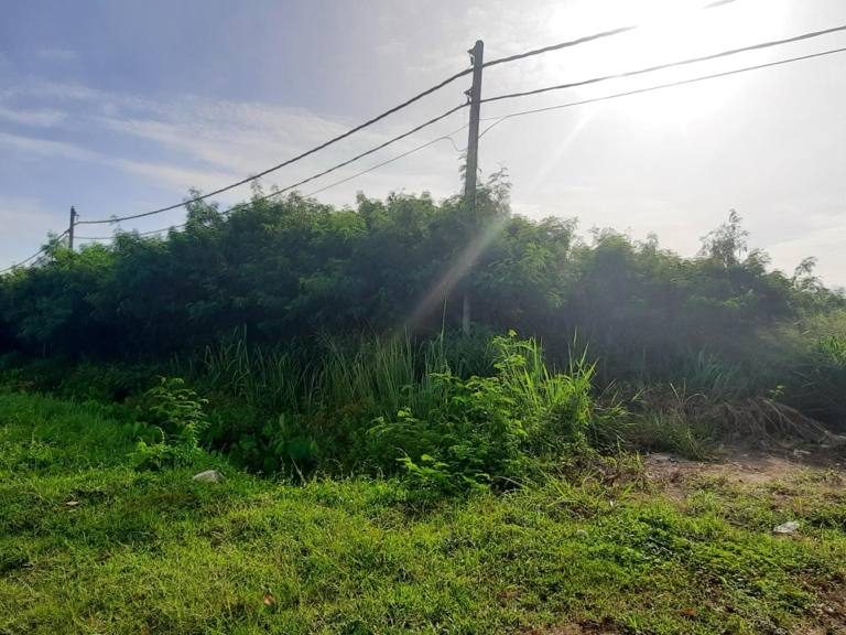 Tanah Kosong Jeram Kapar Klang Selangor 10 Ekar Freehold