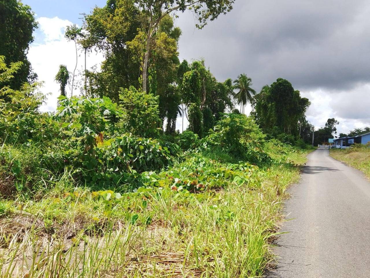Tanah 3.05 Ekar Kg Tenglu Besar Mersing Johor Freehold