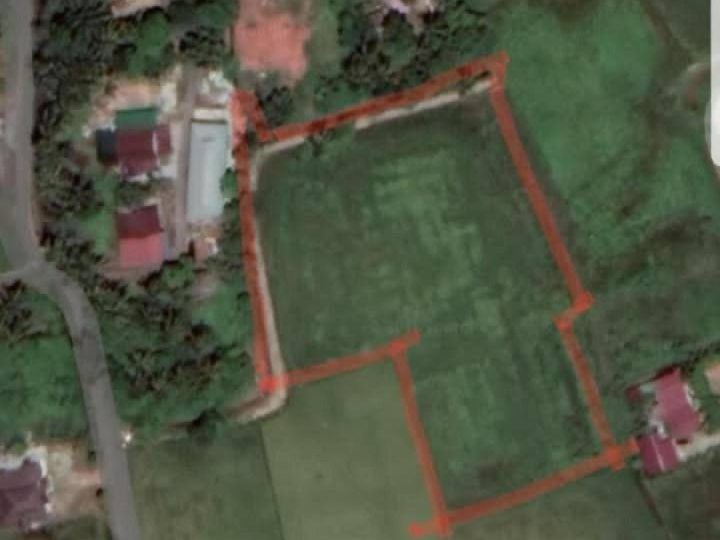 Tanah Tanjung Putus Sungai Dua Permatang Pauh Pulau Pinang 1.86 Ekar Freehold