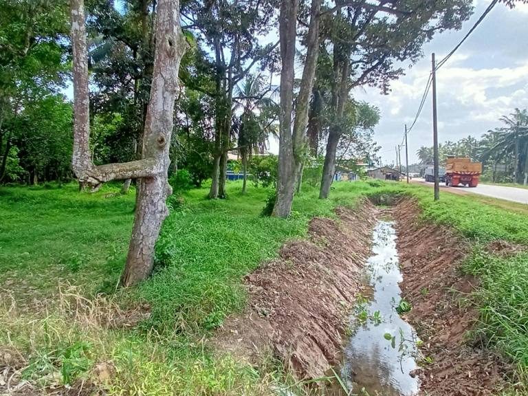 Tanah Pertanian Parit Gantong Parit Sulong Johor 2.30 Ekar Freehold