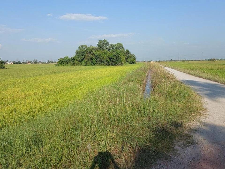Tanah Pertanian Pekan Darat Teluk Ayer Tawar Butterworth Pulau Pinang 1.12 Ekar Freehold