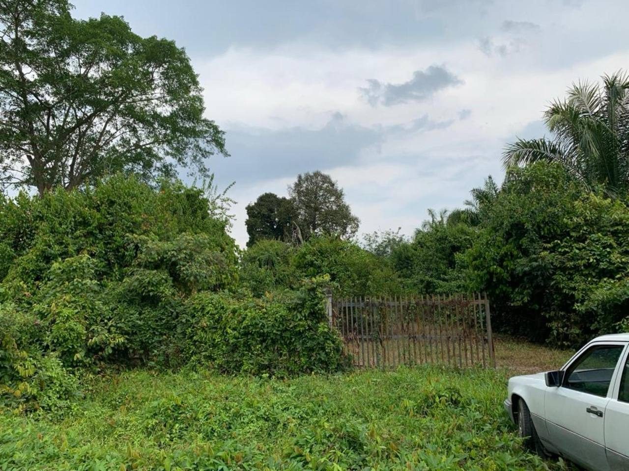 Tanah Pertanian 0.82 Ekar Tg. Olak Mukim Jorak Muar Johor Freehold