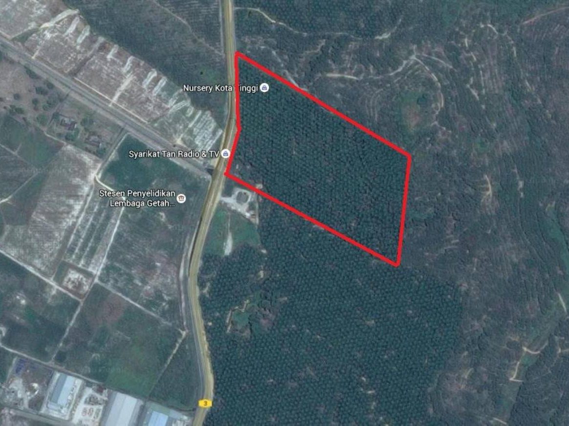Tanah Pertanian Sawit 19.69 Ekar Kota Tinggi Johor Freehold