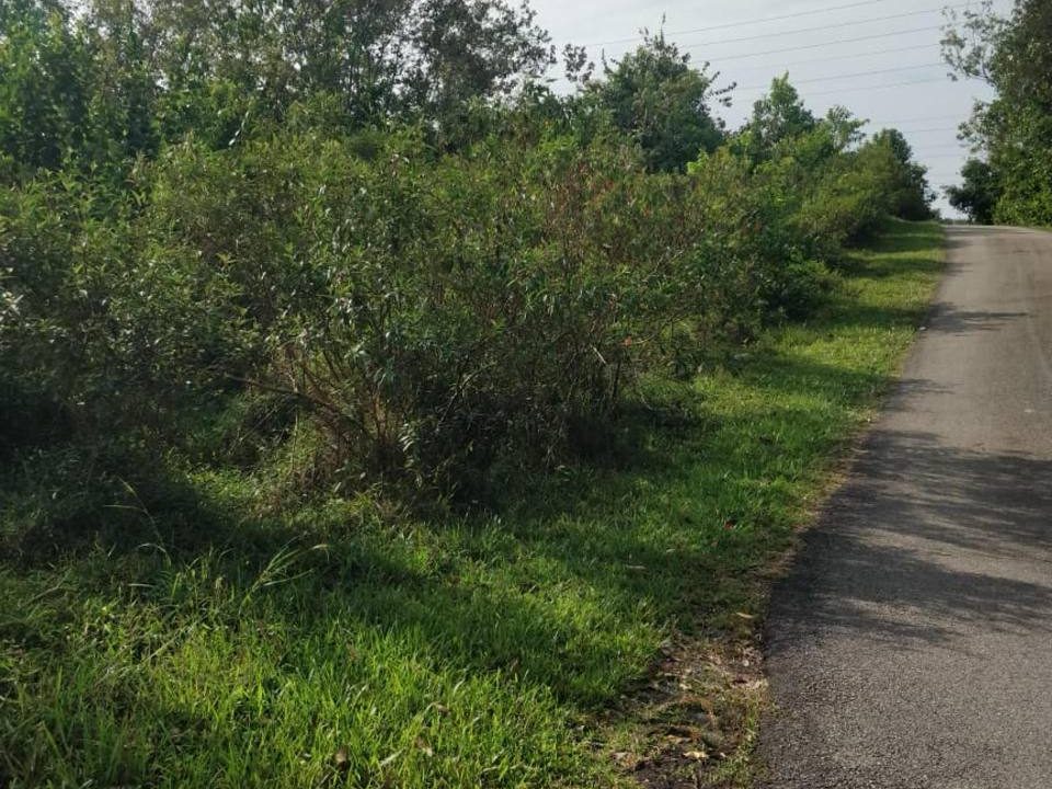 Tanah Kebun 5 Ekar Alor G4jah Melaka Mukim Kelemak Freehold