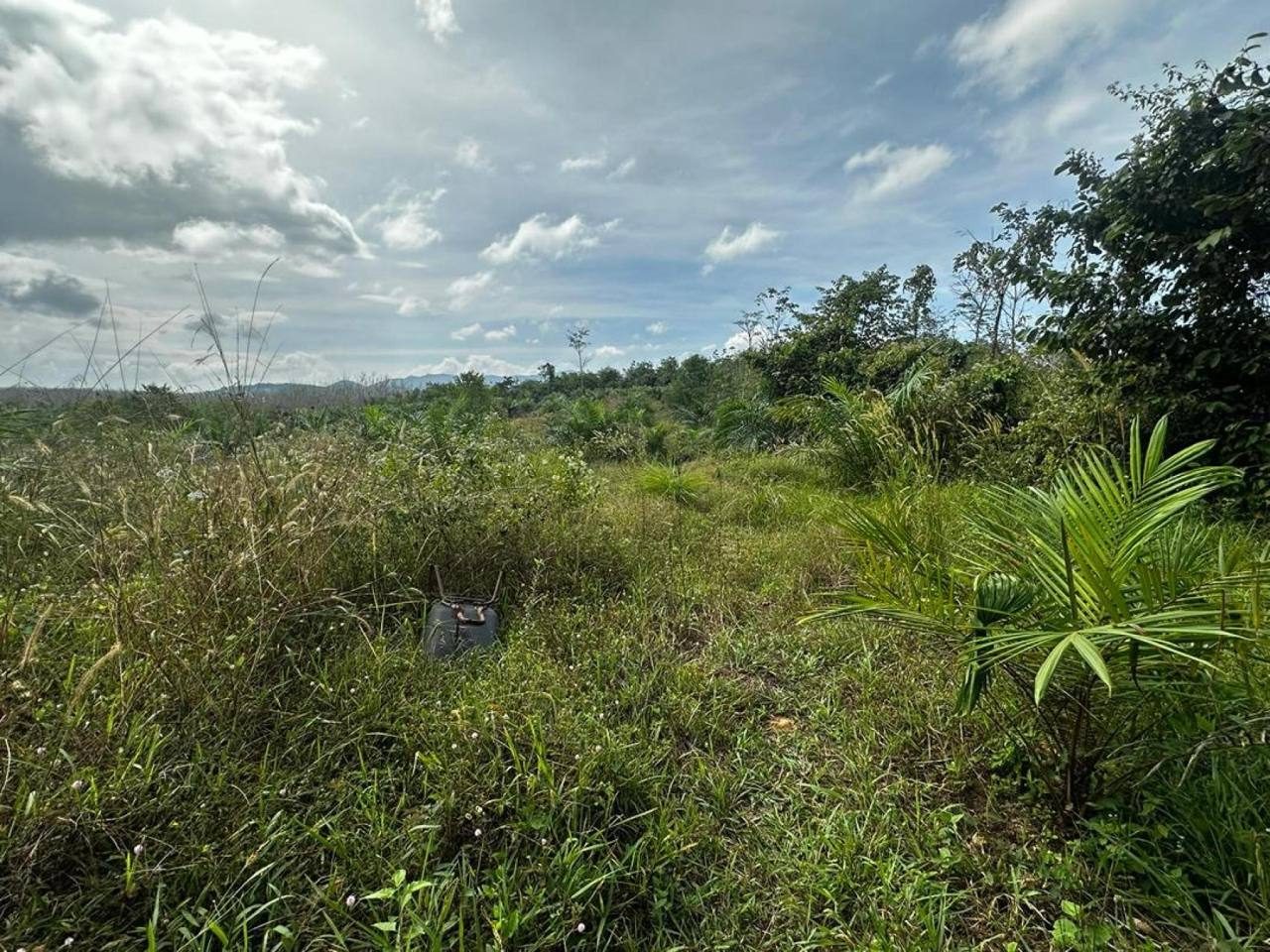 Tanah Sawit 0.95 Hektar / 102,106 sqft Kg Charuk Bertam Jeneri Sik Kedah