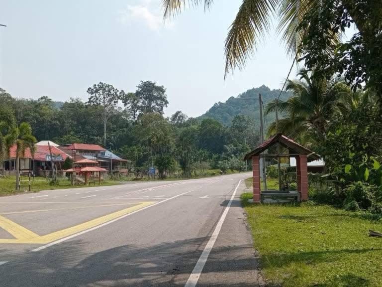 Tanah Pertanian Kelapa Sawit 220 Ekar Kuala Pilah Negeri Sembilan Freehold Hasil Sedia Tuai
