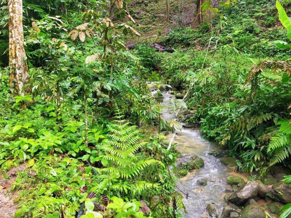 Tanah Pertanian Zoning Kediaman Sungai Penchala Kuala Lumpur 0.5 Ekar