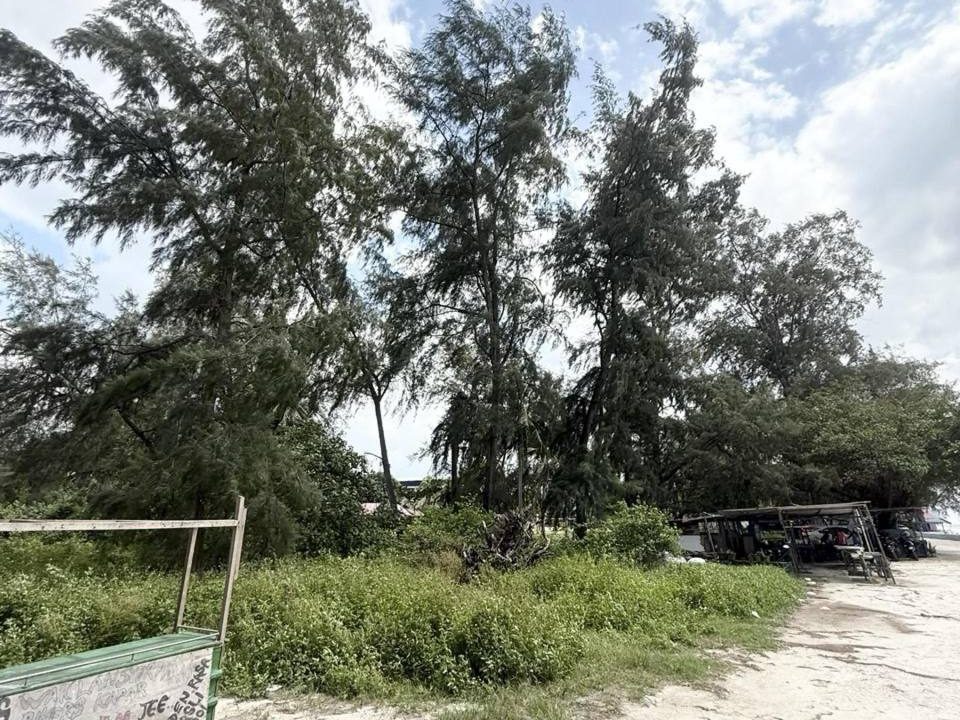 Tanah Pertanian 1.85 Ekar Kuala Selangor Selangor Freehold Menghadap Pantai