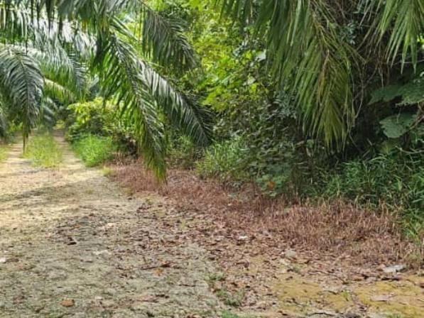 Tanah 2 Ekar Lukut Port Dickson Freehold Tepi Jalan Tanah Rata