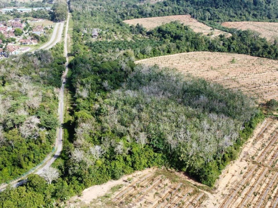 Tanah 3 Ekar Tanjong Rimau Alor G4jah Freehold Dekat A’Famosa