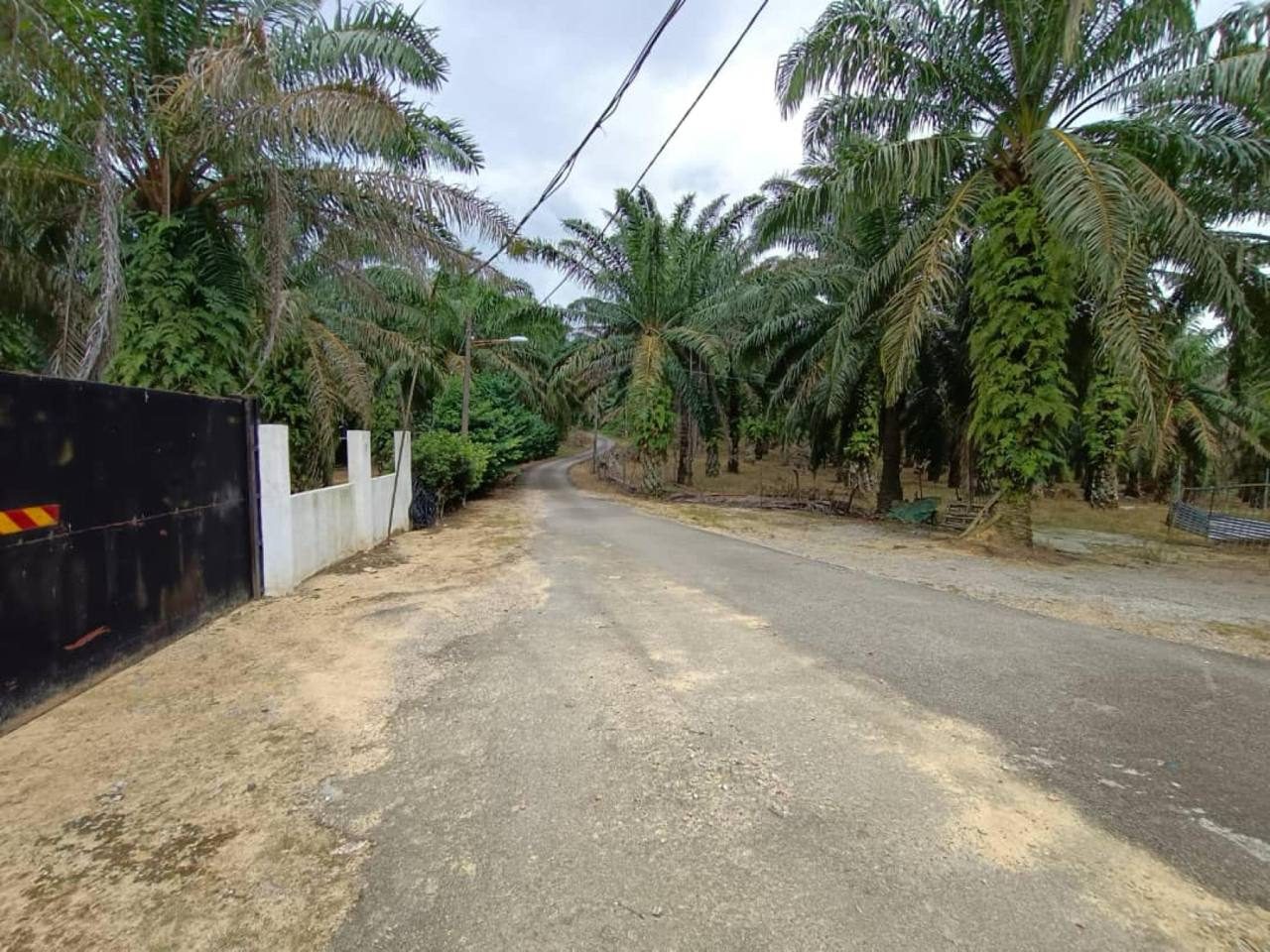 Tanah 7 Ekar Lereng Bukit Kg Temenin Lama Kota Tinggi Johor Dengan Rumah