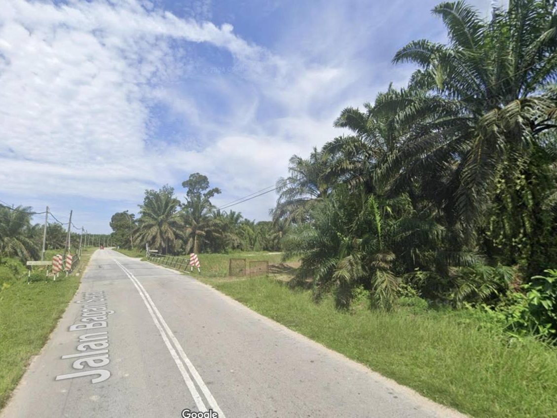 Tanah Pertanian Sawit 2.74 Ekar Selama Perak Freehold