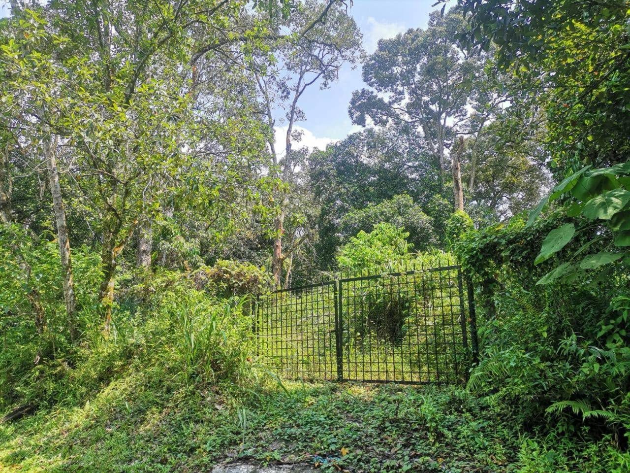 Tanah Pertanian 1 Ekar di Bukit Lagong, Batu Caves, Selangor | Freehold
