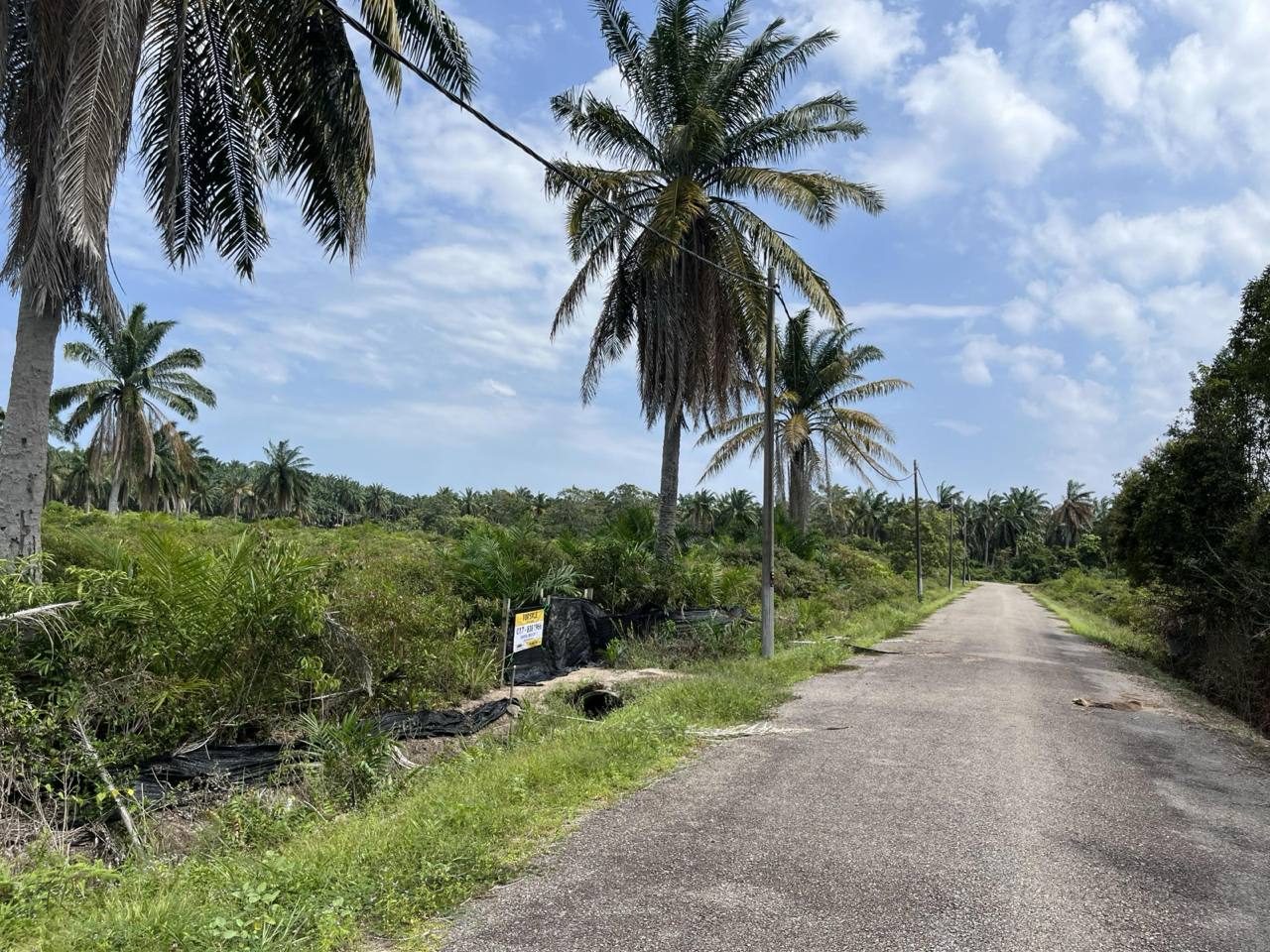 Tanah Dusun 1.33 Ekar Kuala Linggi, Melaka | Zon Pertanian | Akses Mudah
