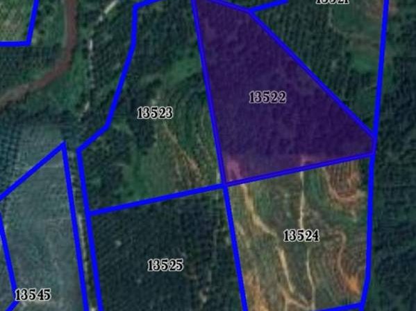 Tanah Sawit 9.2 Ekar di Sungai S, Perak