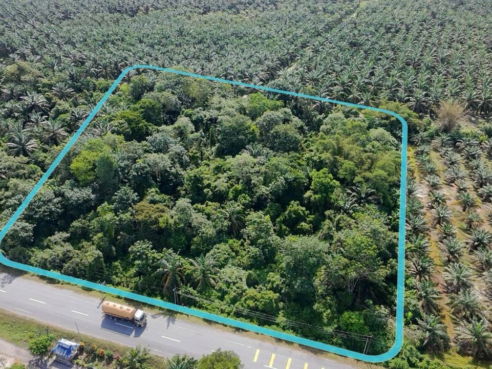 Tanah Freehold 2 Ekar di Trong, Perak ā Tepi Jalan Besar