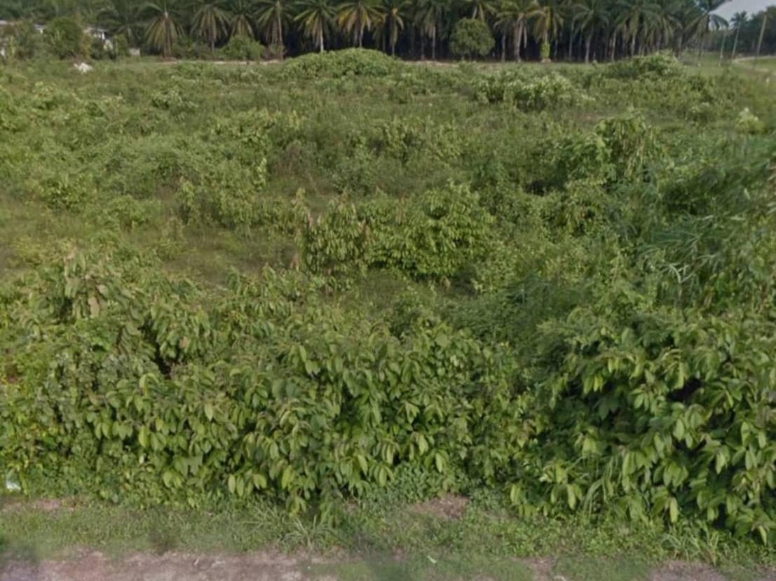 Tanah 4.78 Ekar Tepi Jalan Utama Tasek Gelugor Pulau Pinang Freehold