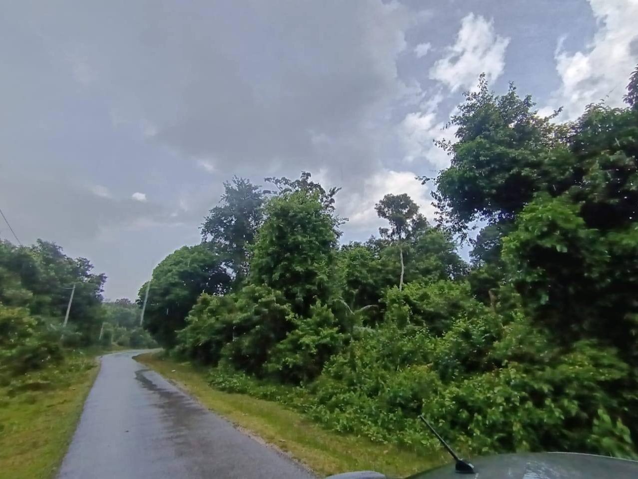 Tanah Pertanian 2 Ekar – Mukim Bebar, Pekan, Pahang