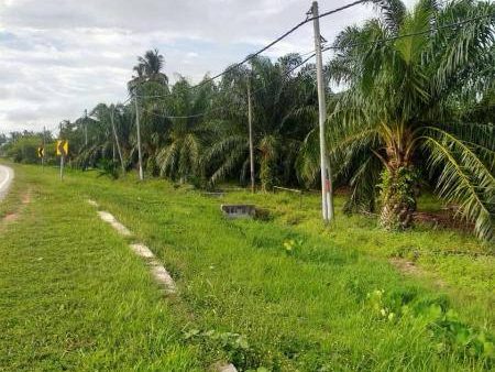 Tanah Pertanian 6.17 Ekar ā Assam Jawa, Kuala Selangor