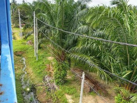 Tanah Pertanian 8.8 Ekar ā Assam Jawa, Kuala Selangor