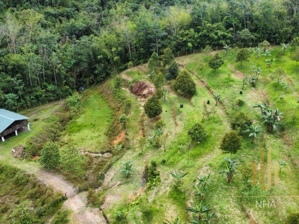 Tanah Dusun 6 Ekar dengan Rumah Rehat & Kolam di Ulu Rening, Batang Kali, Selangor