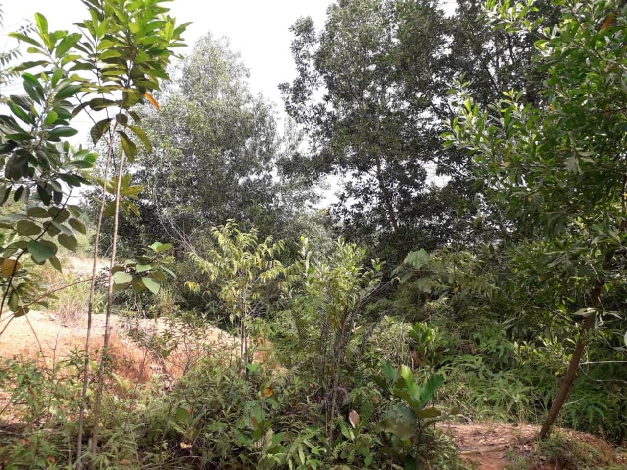 Tanah 2.78 Ekar ā Kampung Bukit Raya, Hulu Langat