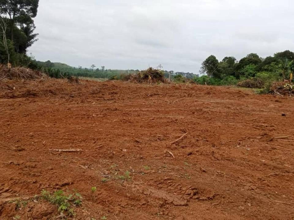 Tanah Pertanian 4.46 Ekar ā Bukit Tangkong, Segamat, Johor
